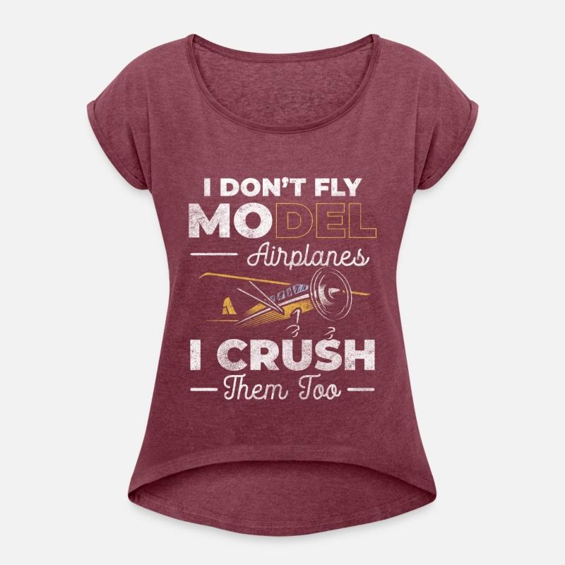 Airplane Model Flying Test Pilot