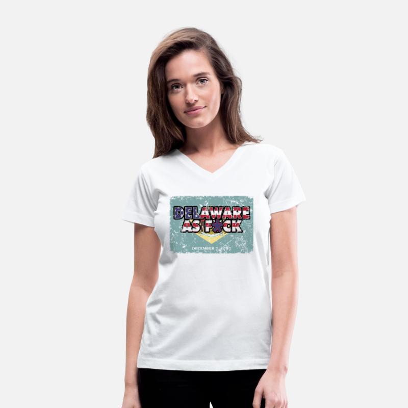 America US Flag State Flag Delaware