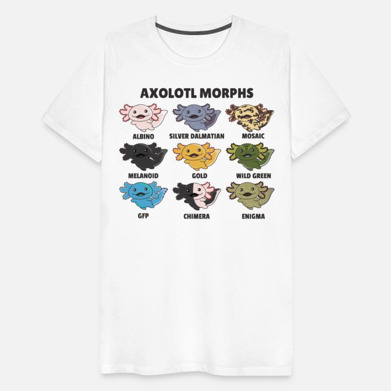 Axolotls From The World Sweet Animals Axolotl
