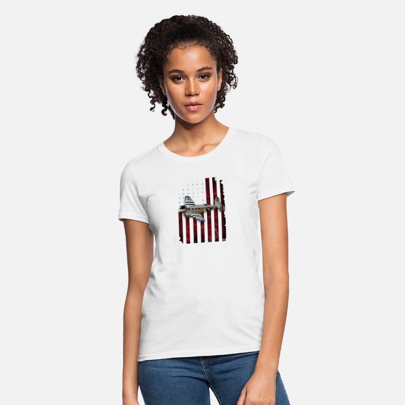 Beechcraft Model 18 twin beech aircraft