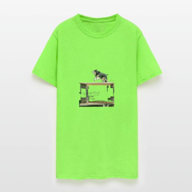 Border Collie Dock Diving Dog Jumping Swimming