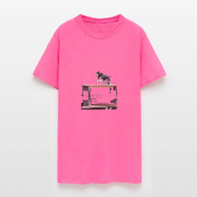 Border Collie Dock Diving Dog Jumping Swimming