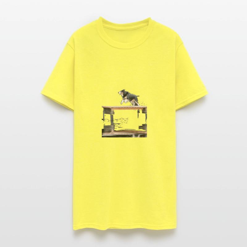 Border Collie Dock Diving Dog Jumping Swimming