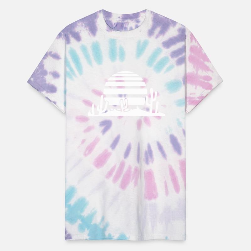 Cactus Desert Sunset Evening Sun Night Many Cacti