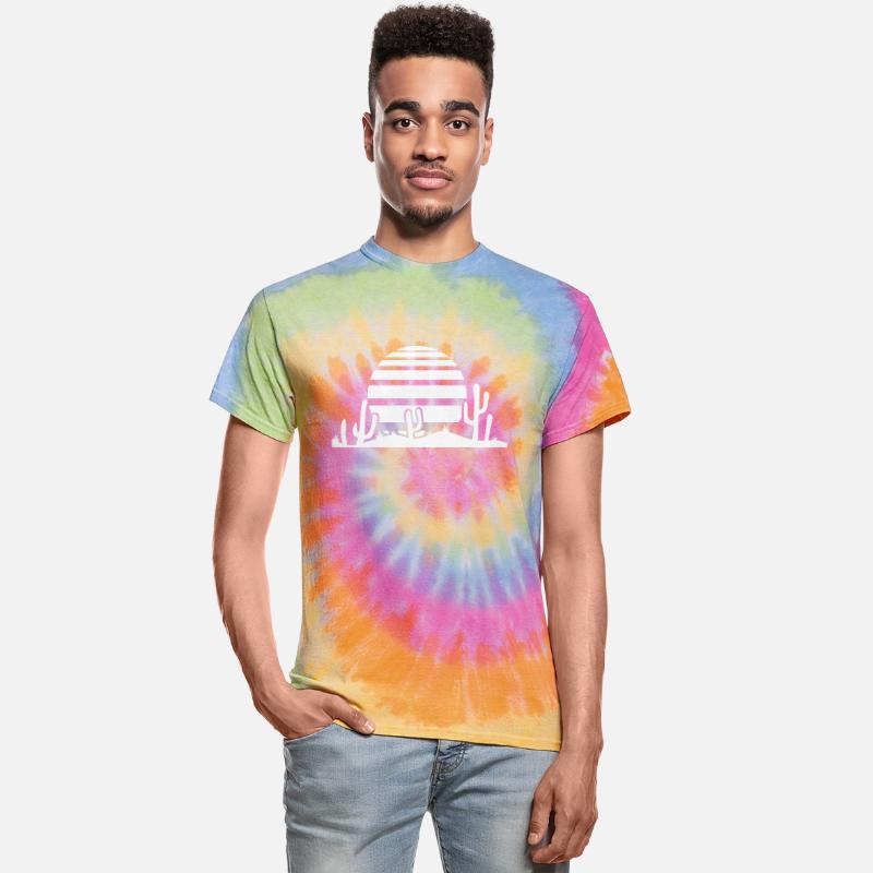 Cactus Desert Sunset Evening Sun Night Many Cacti