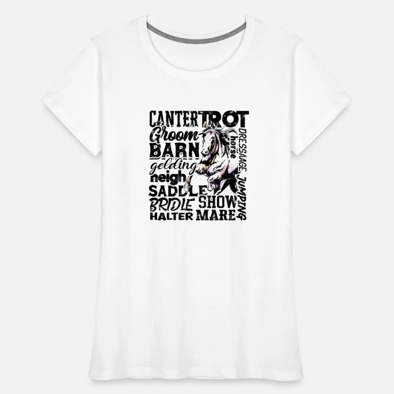 Cantertrot Groom Barn Dressage Neigh Horse